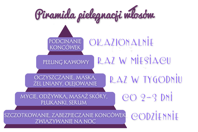 Piramida pielęgnacji włosów.